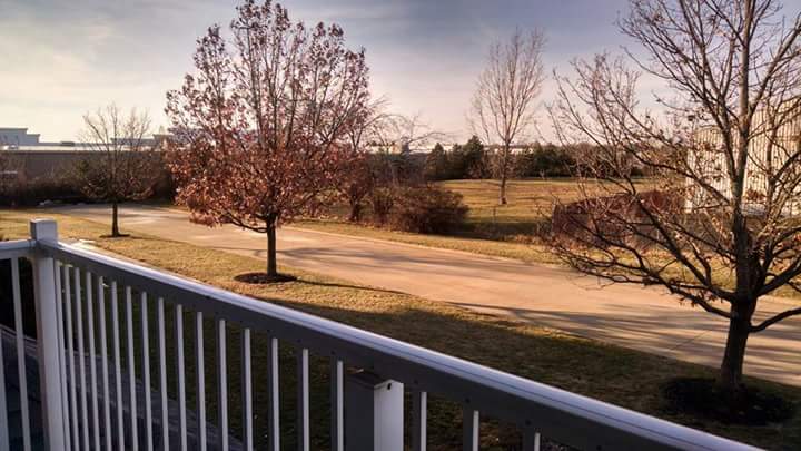 wp-1460187004954 image