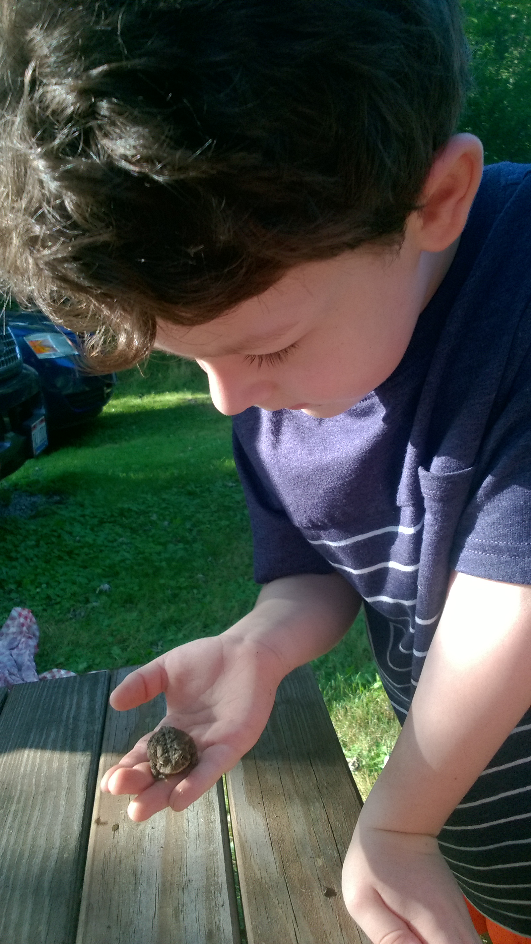 WP_20180811_18_20_46_Pro